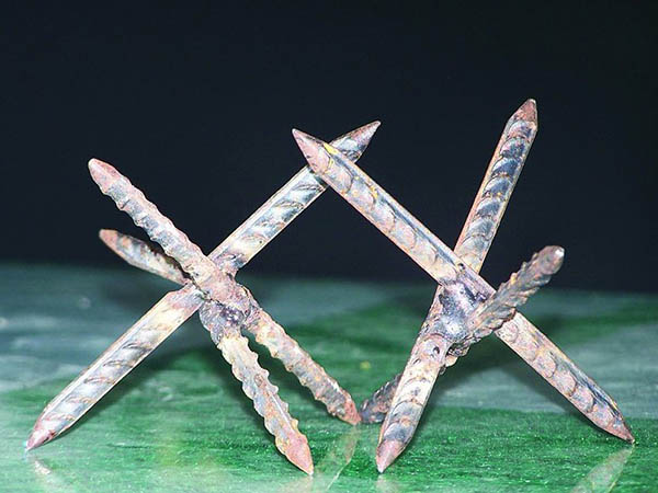 青海鐵蒺藜圖片3