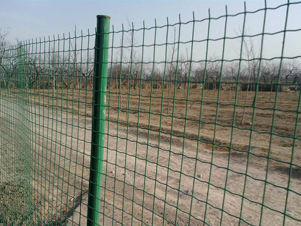圈地護欄網 - 安平縣中澤絲網制造有限公司圖片4